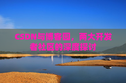 CSDN与博客园，两大开发者社区的深度探讨